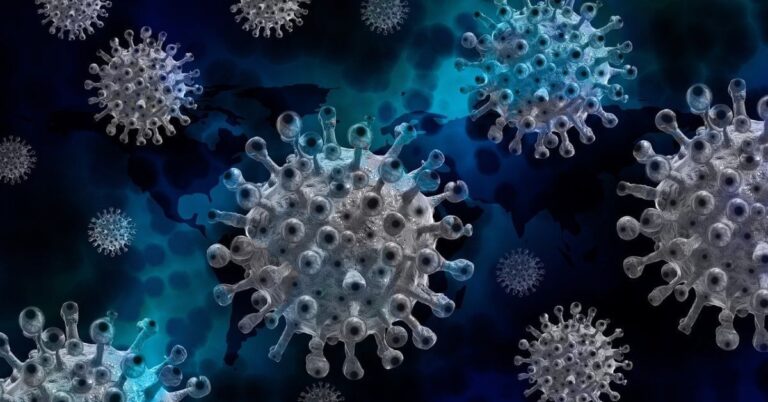 Immune System natural homemade remedies