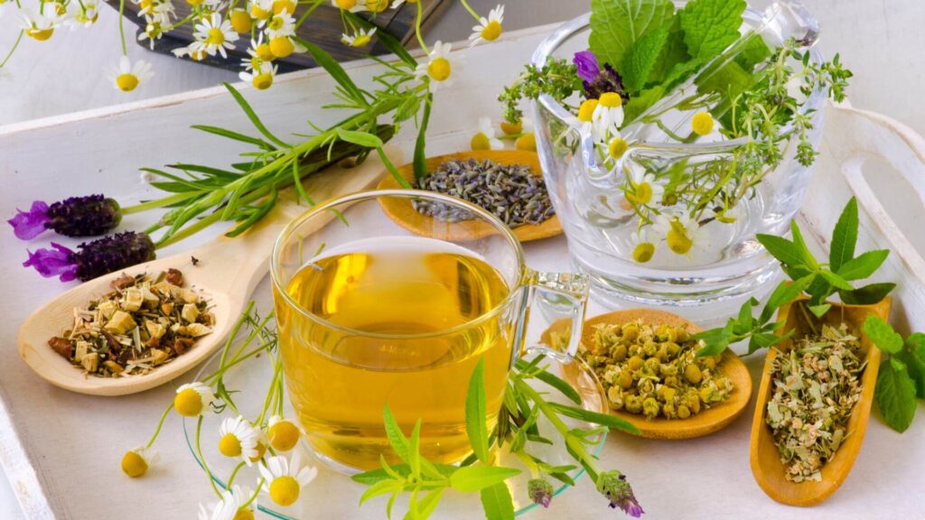 herbal medicine and nature's medicine